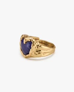 Nude Project Brasil Ring Gold Sale